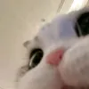 nzxmmy