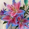 user52_771