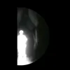 jaecer8