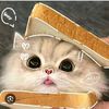 leara_42