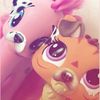 mistymlp