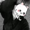 krwq.xsz