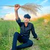 md.mehedi.hasan.hridoy2