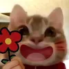 itmtoan