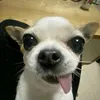 bemituot4