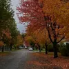 harawhorya