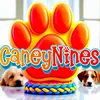 caneynines
