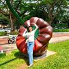 ei.phyu.lay52