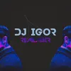 igor.garcia663