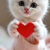 marlen.sogho