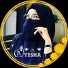 islamer_alo_567