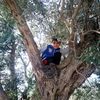 user6001273209072