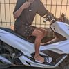 ini_lupi 