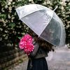 user30336077981023