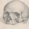 normalhumandeath