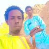 wal.dalarab