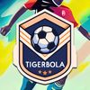 tigerbolaa.tv