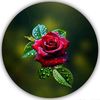 waqarkhan112268