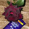 its_reailty