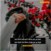 roqay970624748169