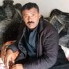 komal.almas