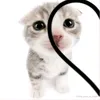 usuaria_.kitty