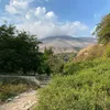dibrani otr