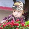 ijazkhan33773