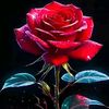 user4165610324283