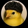 lilboyfar222
