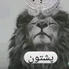 stanikzai7910