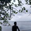wangkep2477