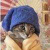 majesticmason28256382