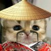 chinz_ara