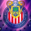 fer.tapatio8