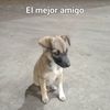 sagitario0715
