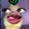 im_aaww