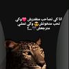 abdhal763