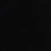 L1prol