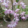 sung.giang405
