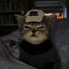 maecutest