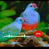 abdullah.khan1122304