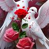 awaisa65429376615