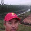 hong.vn.vit742