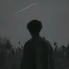 zfdsarty