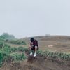 hadyee_