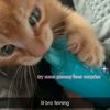 emmaa_may21