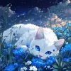 mister_cat2