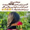 mylife123gm1