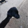 usernameunknown_592